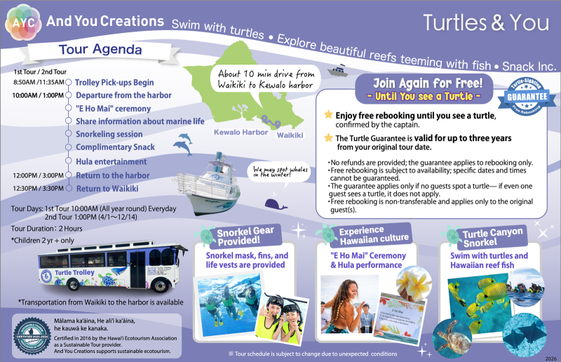 Turtle Snorkeling Tour Summary 2