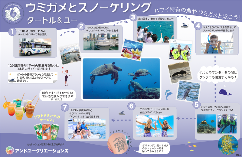 Turtle Snorkeling Tour Summary 1