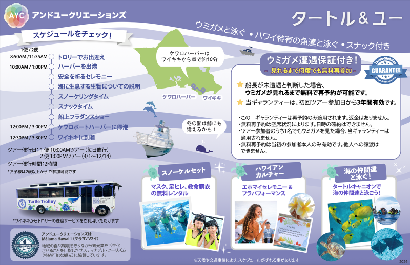 Turtle Snorkeling Tour Summary 2