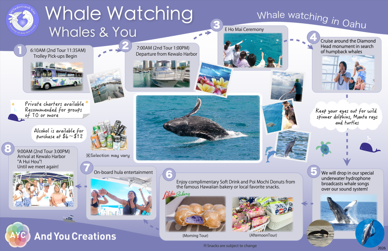 Whale Watching Tour Summary 1