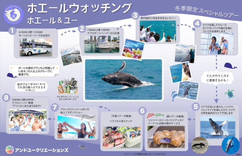 Whale Watching Tour Summary 1