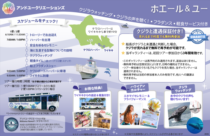 Whale Watching Tour Summary 2
