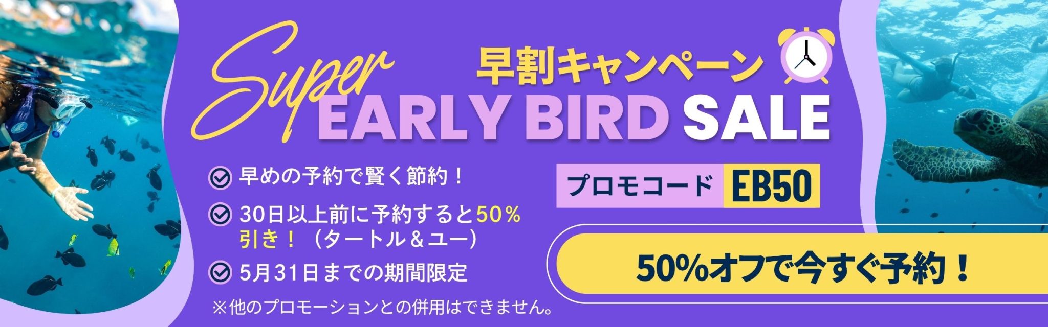 ウミガメ遭遇保証！ハワイのタートル＆ユー シュノーケルツアー