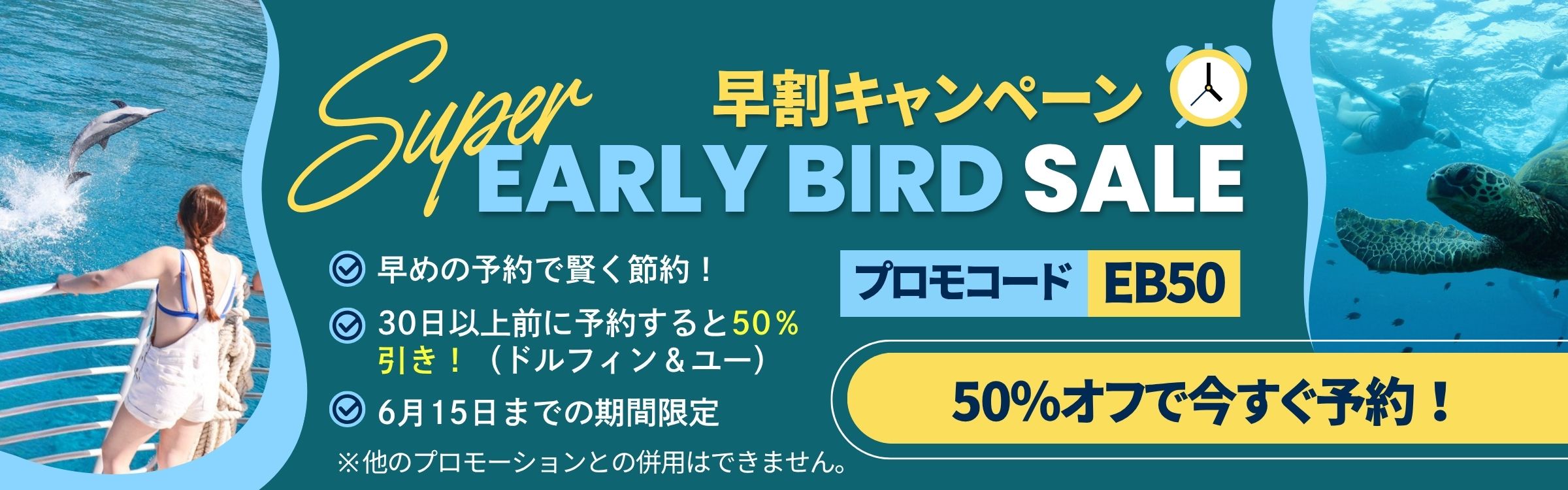 ハワイでイルカに会えるおすすめツアー｜オアフ島