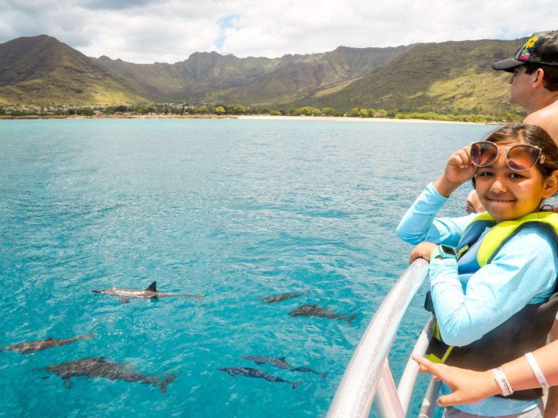 Family friendly dolphin watching tour