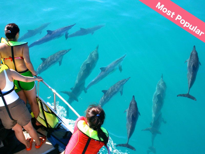 Most popular tour in oahu