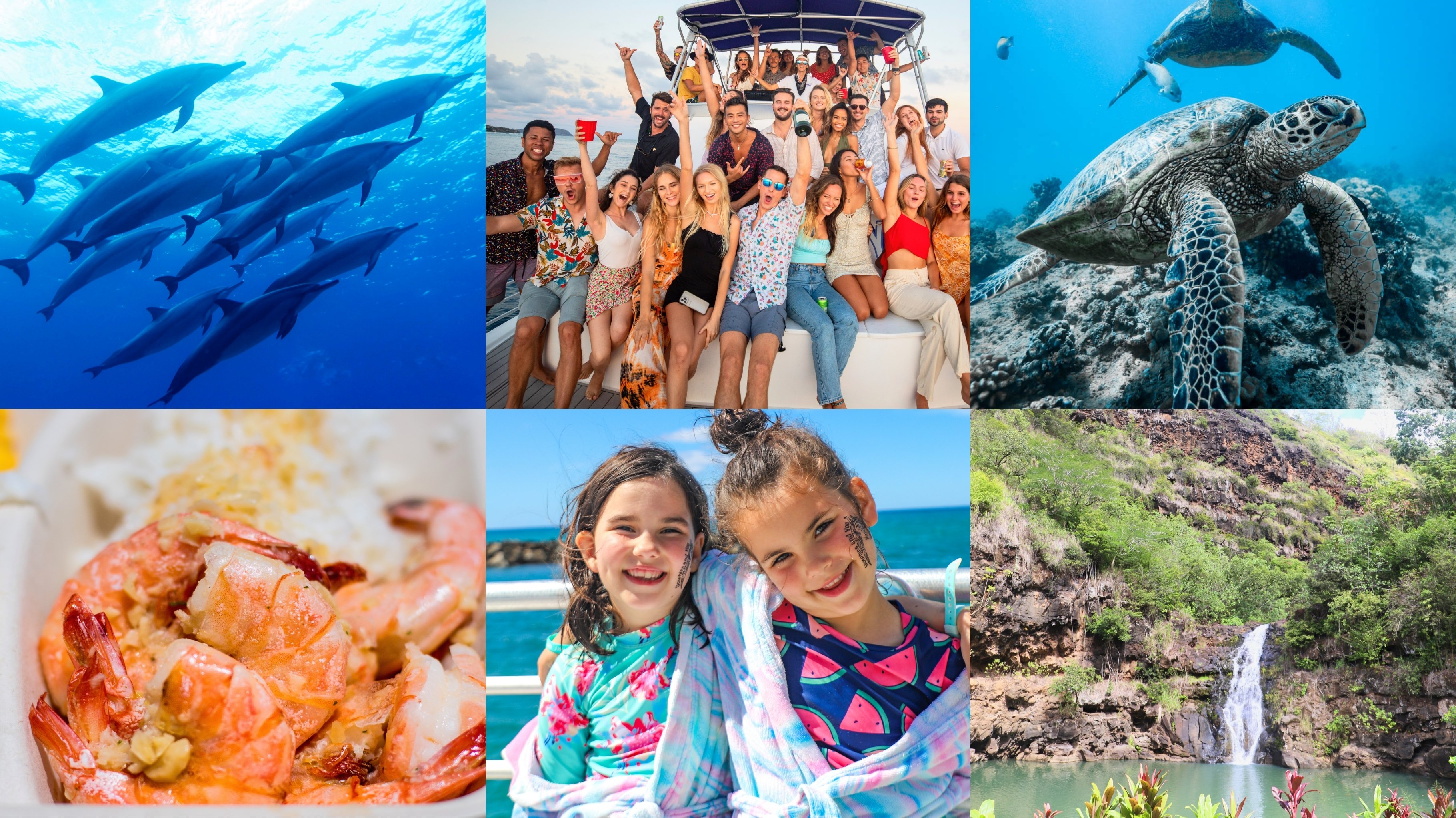 And You Creations Oahu tour experiences including dolphin watching, snorkeling, sunset cruise, and waterfall hike