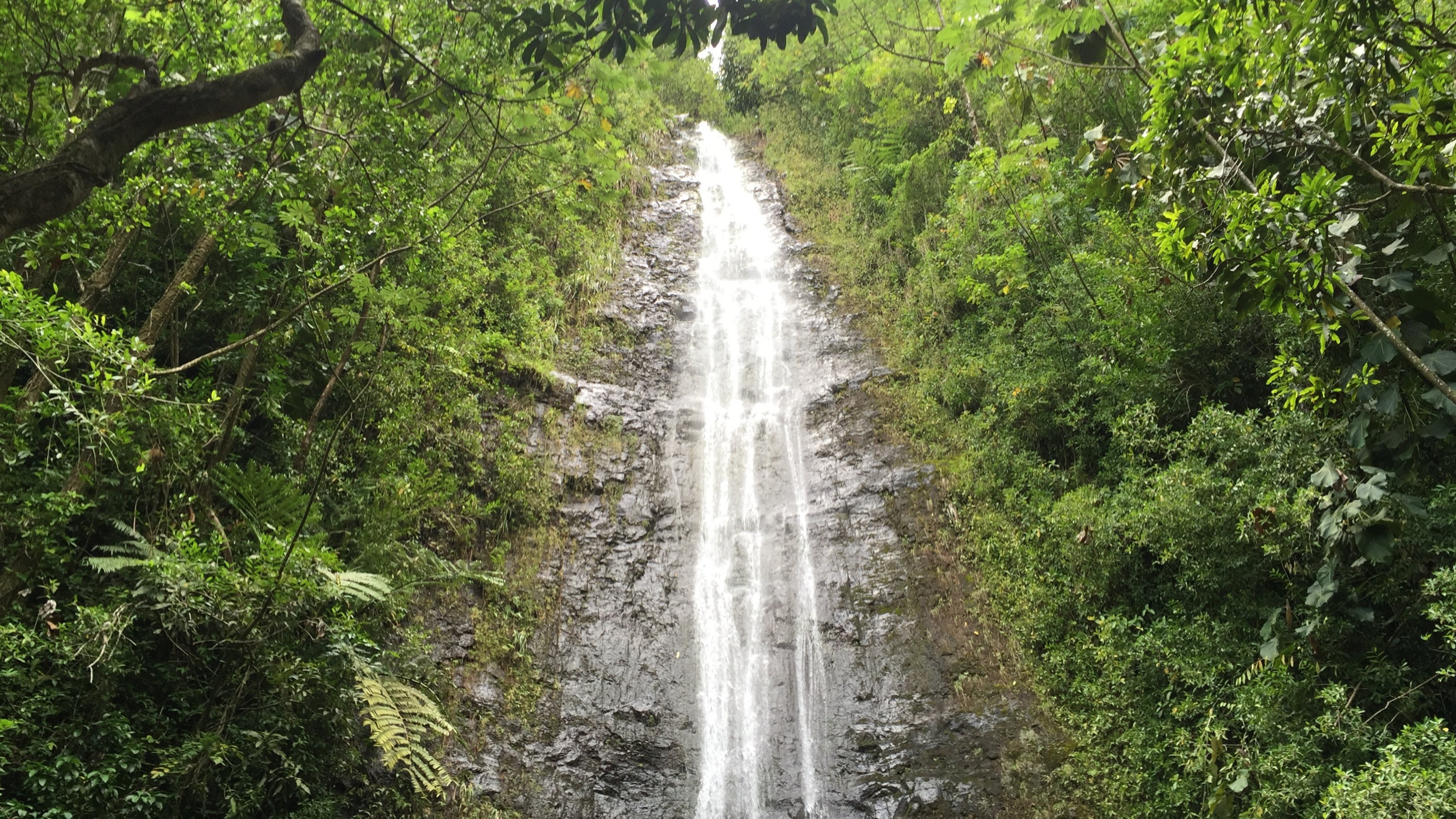 Mānoa Falls (Waihī Nui) waterfall surrounded by lush rainforest on Oahu