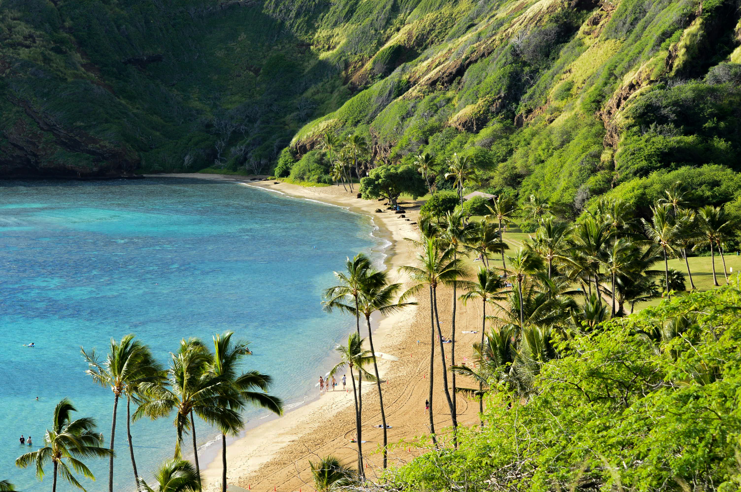hawaii beach 