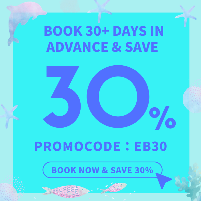 Early Bird 30% Off banner