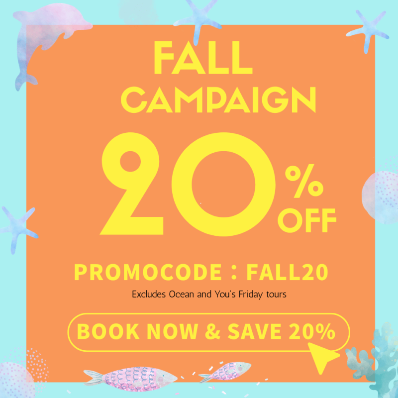 Fall Sale 20%OFF banner