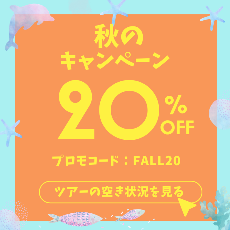 オプショナルツアーが３０％オフ