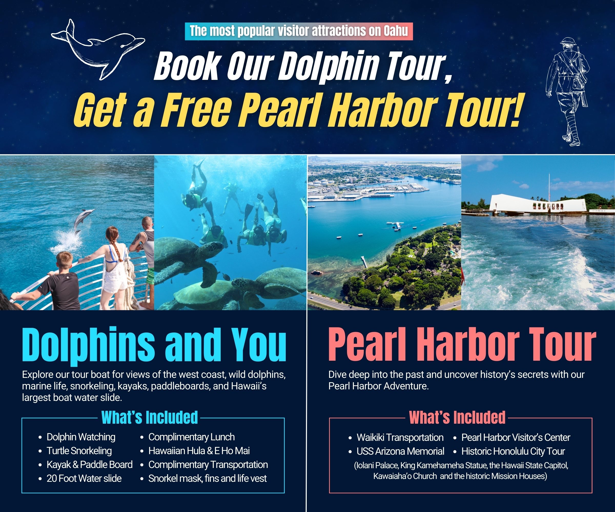 Oahu Pearl Harbor Dolphin