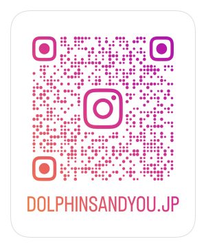 dolphinandyou.jp